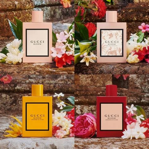 gucci bloom replica|gucci bloom perfume collection.